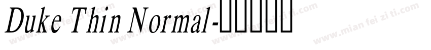 Duke Thin Normal字体转换